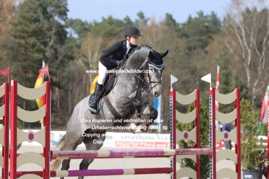 Preview carina isabel goessling mit graziano grey IMG_0237.jpg